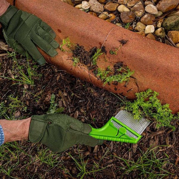 Angled Weeder,Steel,3 Blade